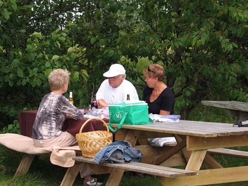 Frokost-indtages-paa-rasteplads-ved-banen